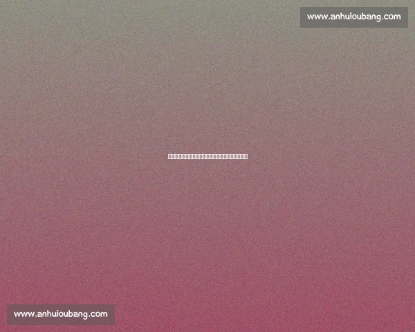 实时体育比分更新及赛事动态全方位跟踪与分析平台