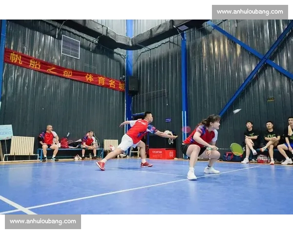 体育平台最新版全面升级打造极致运动体验新模式