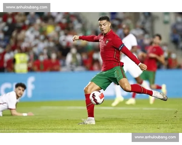 体育数据手机版全新升级实时比分分析赛事资讯一手掌握 体育数据手机版全新升级实时比分分析赛事资讯一手掌握